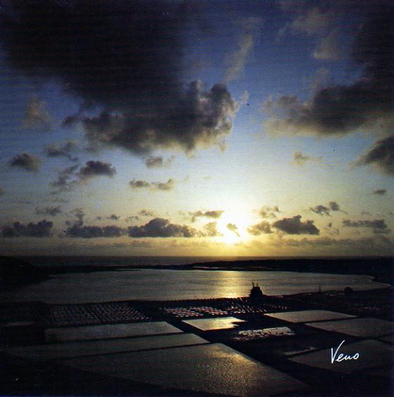 Salinas de Janubio in Abendstimmung