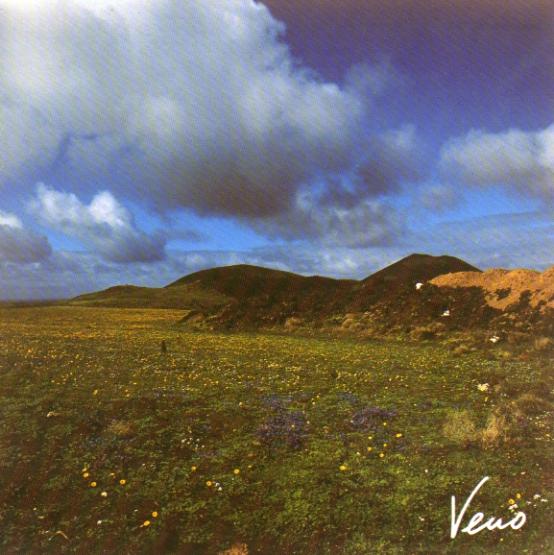 Blühende Vulkanlandschaft